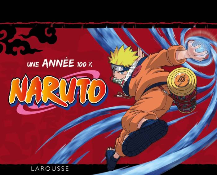 UNE ANNEE 100% NARUTO