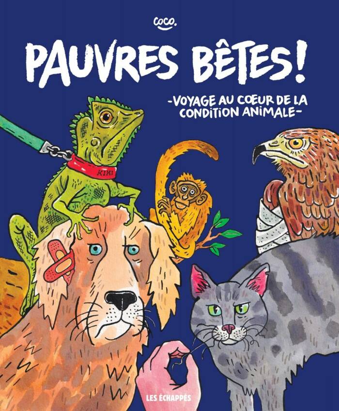 HORS COLLECTION BD - PAUVRES BETES ! - VOYAGE AU COEUR DE LA CONDITION ANIMALE