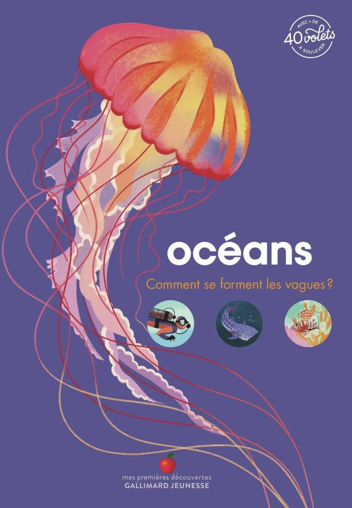 OCEANS - COMMENT SE FORMENT LES VAGUES !