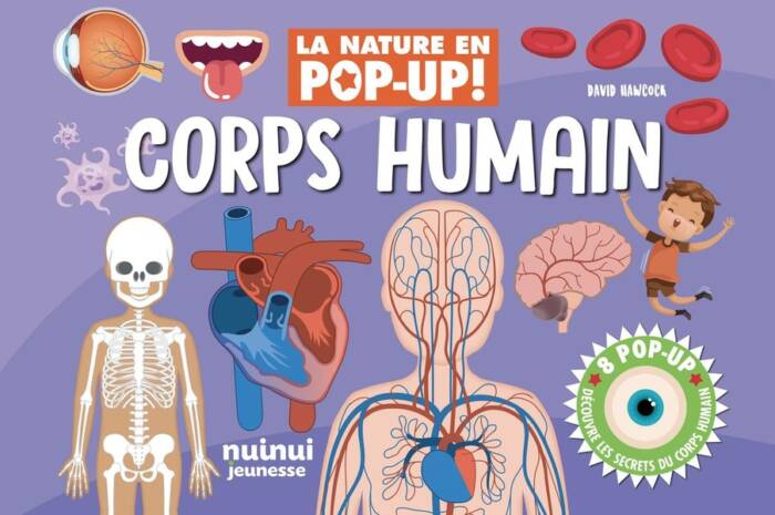LA NATURE EN POP-UP - CORPS HUMAIN