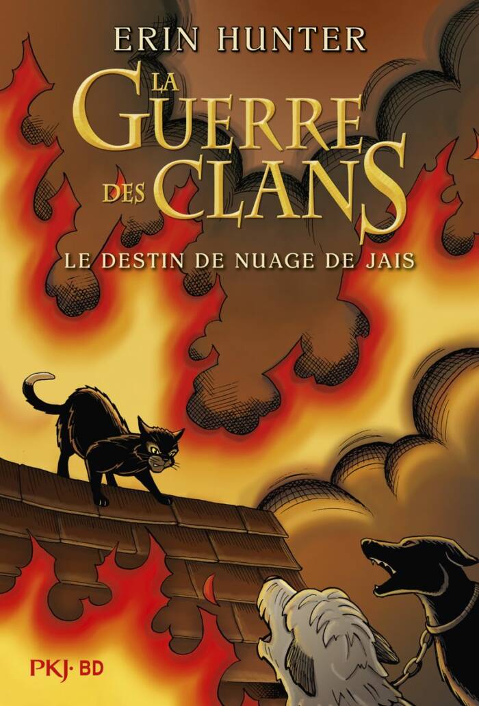 ROMANS CONTES - LA GUERRE DES CLANS - LE DESTIN DE NUAGE DE JAIS - BANDE DESSINEE