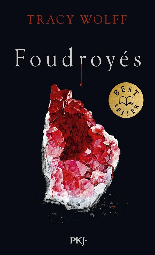 ASSOIFFES - TOME 2 FOUDROYES