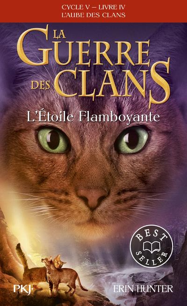 LA GUERRE DES CLANS CYCLE V - TOME 4 L'ETOILE FLAMBOYANTE
