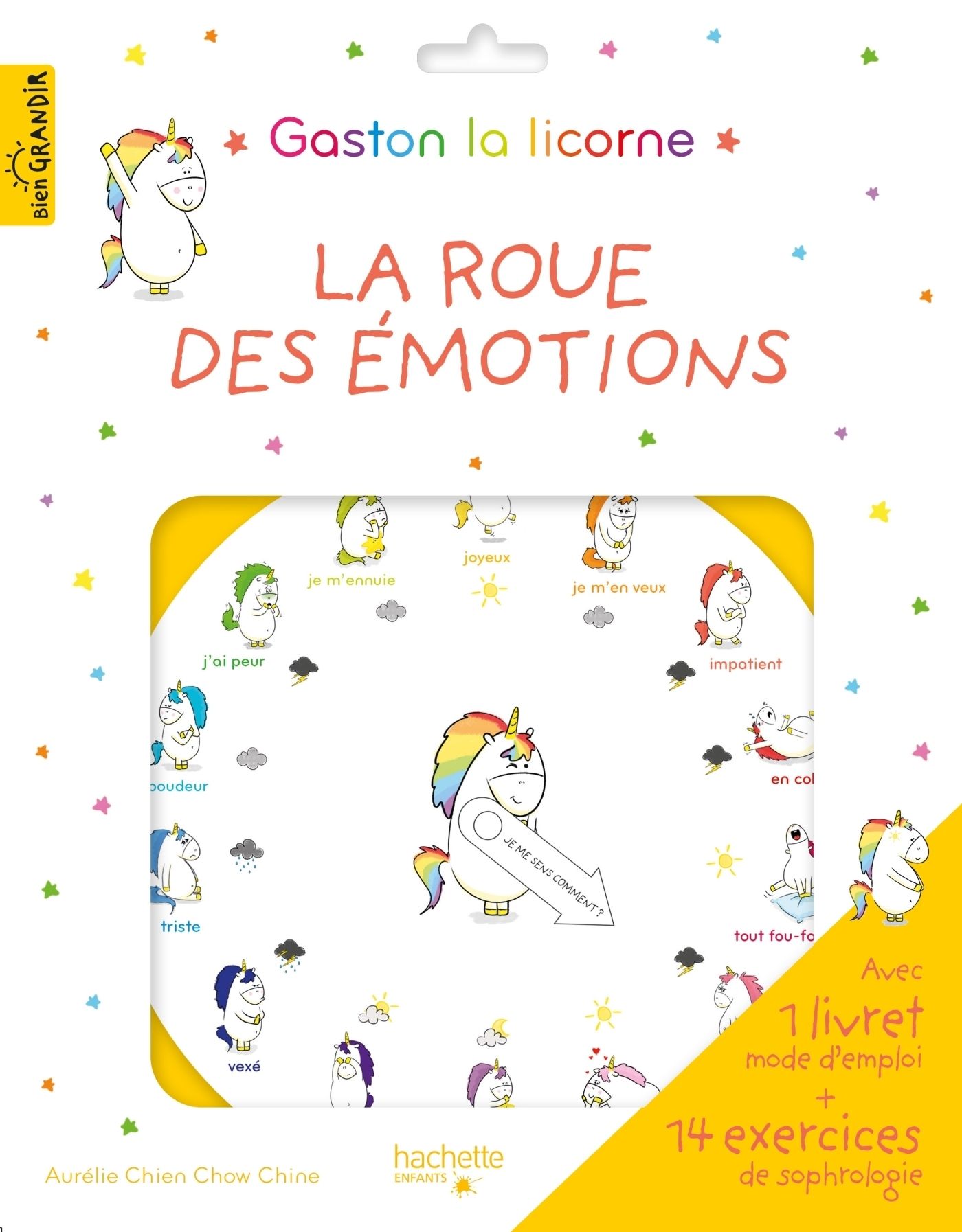 LA ROUE DES EMOTIONS DE GASTON