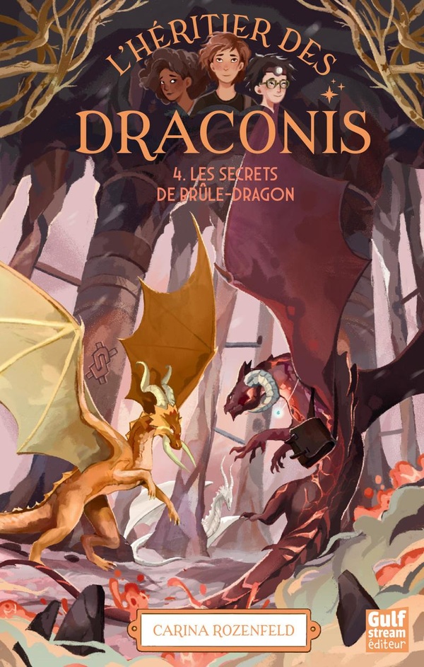 L'HERITIER DES DRACONIS - NOUVELLE EDITION - TOME 4 LES SECRETS DE BRULE-DRAGON - VOL04