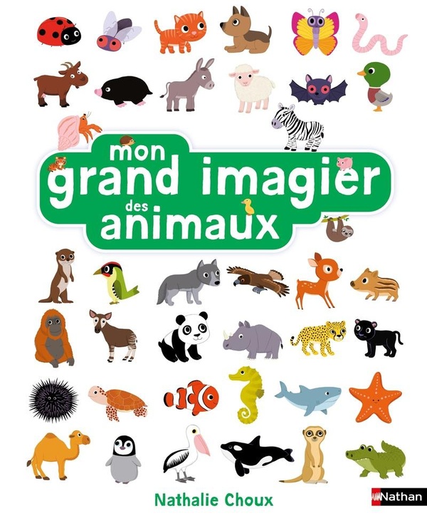 MON GRAND IMAGIER DES ANIMAUX