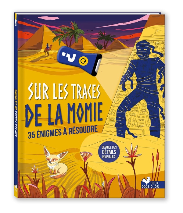 SUR LES TRACES DE LA MOMIE - 36 ENIGMES A RESOUDRE