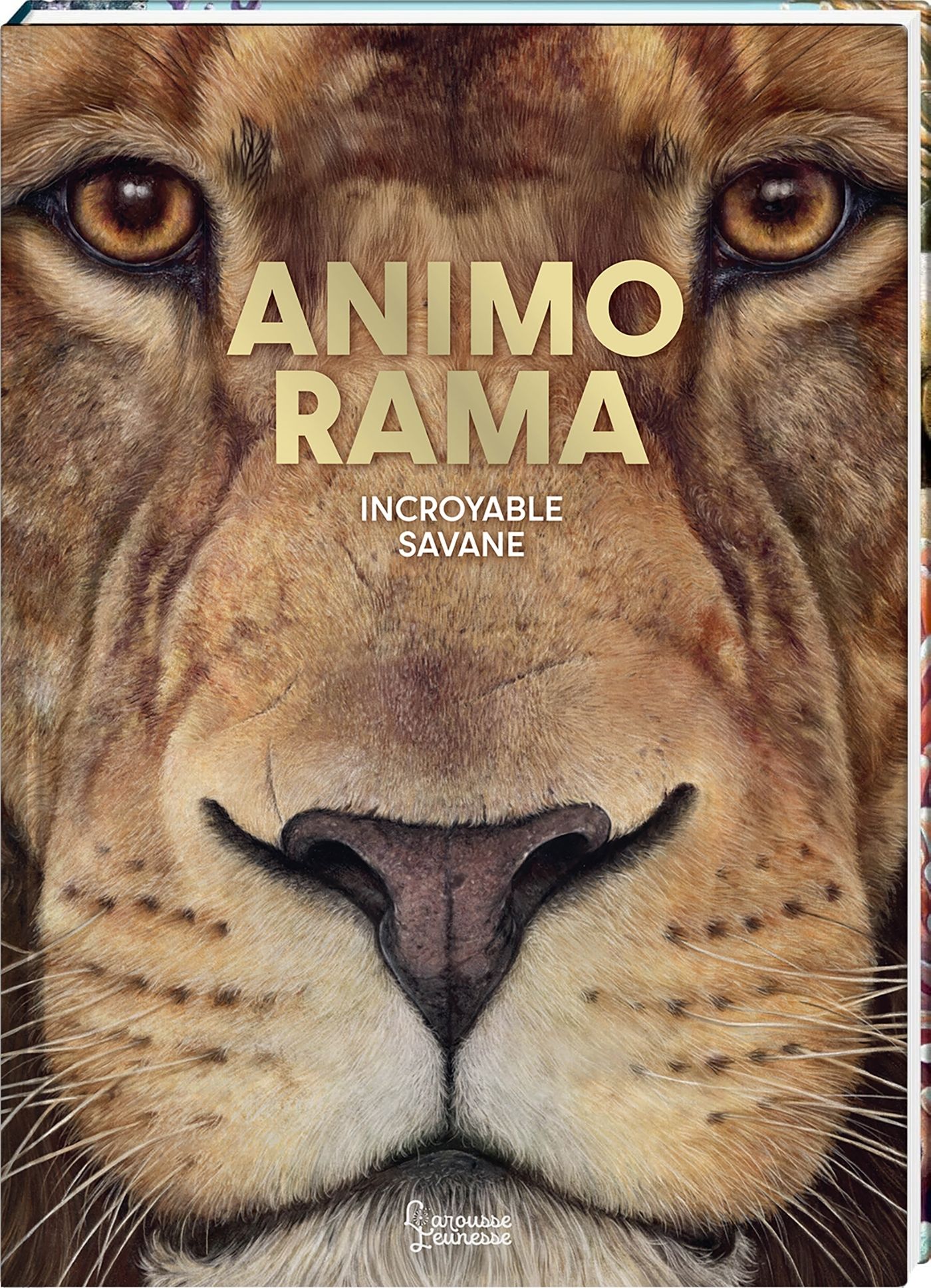 ANIMO RAMA INCROYABLE SAVANE